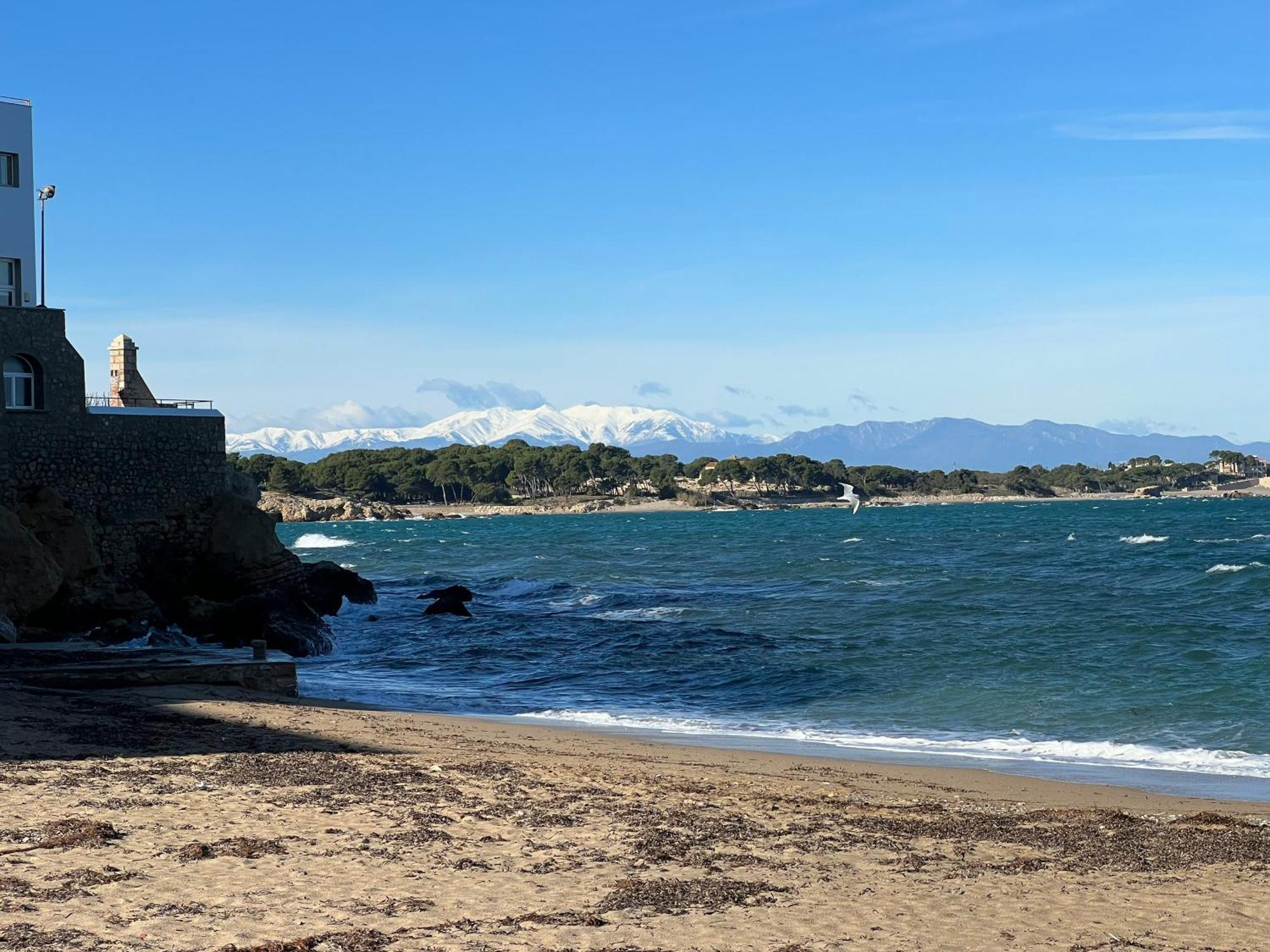 Vive Tu Vida Sonada Delante Del Mar Lägenhet L' Escala Exteriör bild